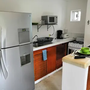 & 28 , Playa del Carmen Mexico