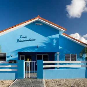 Casa Bonaventura , Daniel Curaçao